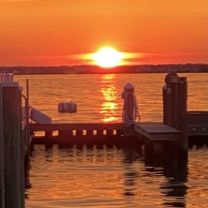 IMG_5500